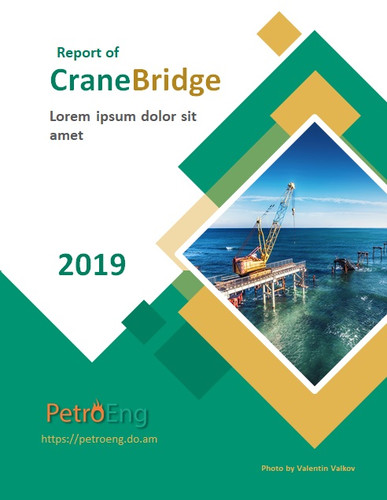 CraneBridge Report Cover