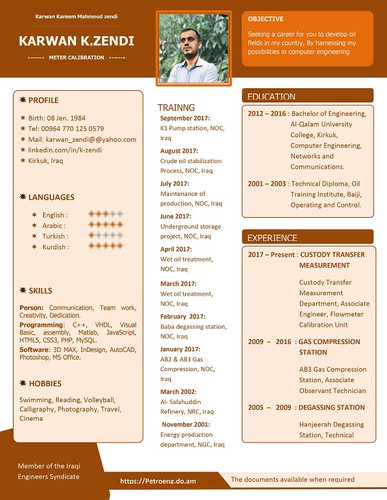 FlowDig CV and Resume Template for Microsoft Word